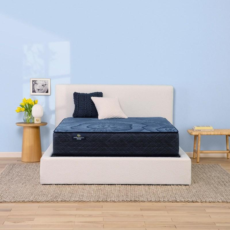 Silver Streak Firm Mattress (Twin XL)