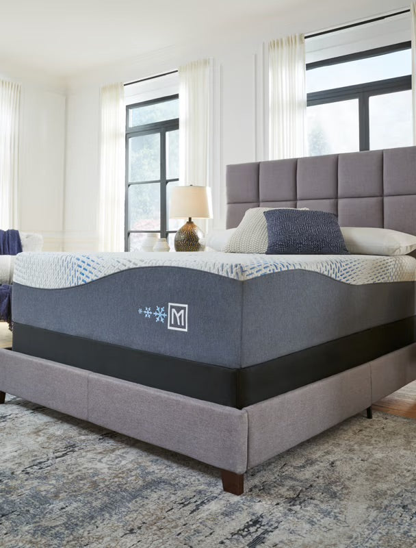 Sleep & Bedding